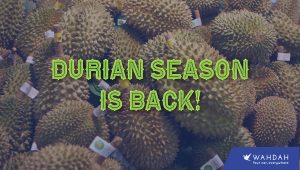 Top 10 Must Try Durians in 2019
